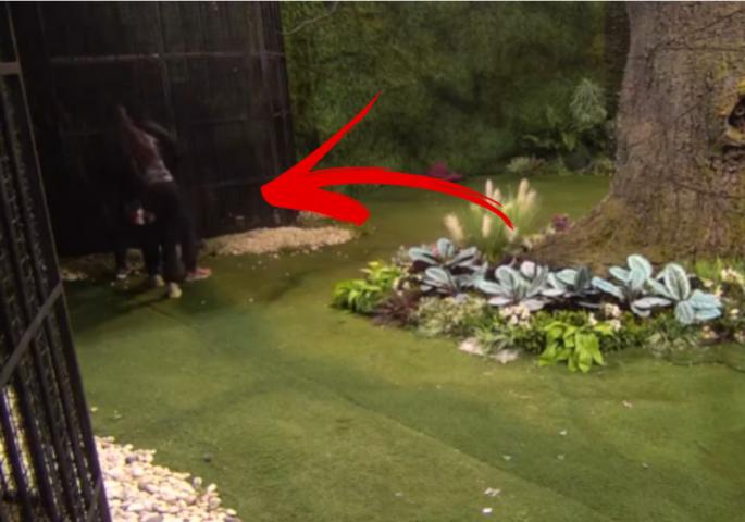 Anđela Đuričić, Zvezdan Slavnić