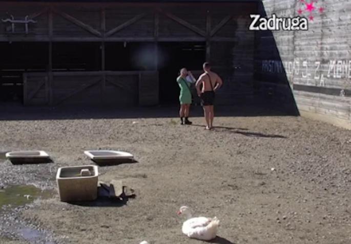 Sanja Grujić, Marko Stefanović