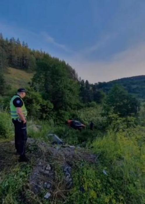 Dragomir Despić Desingerica