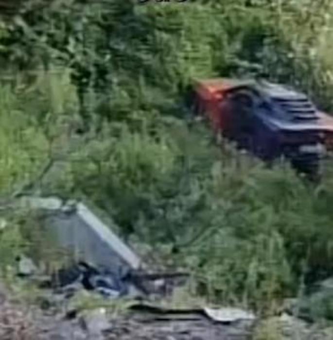 Dragomir Despić Desingerica