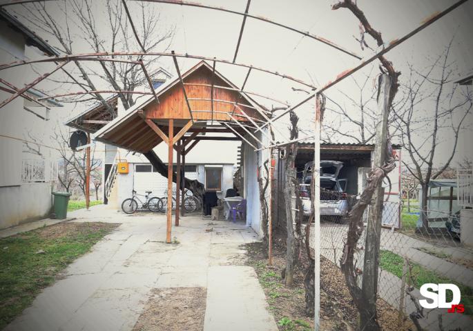 Ubistvo i samoubistvo u Novom Sadu