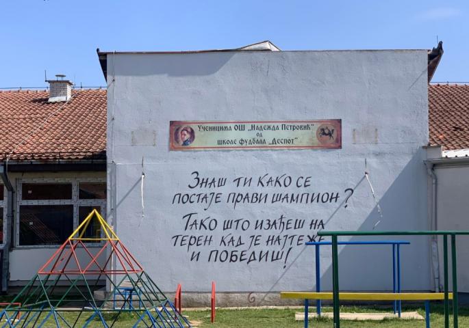 Osnovna škola Nadedža Petrović
