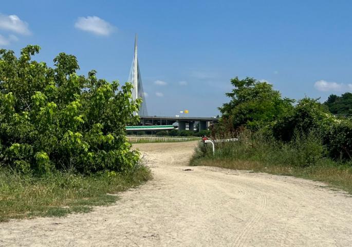 Žbun kod kojeg je došlo do nesreće