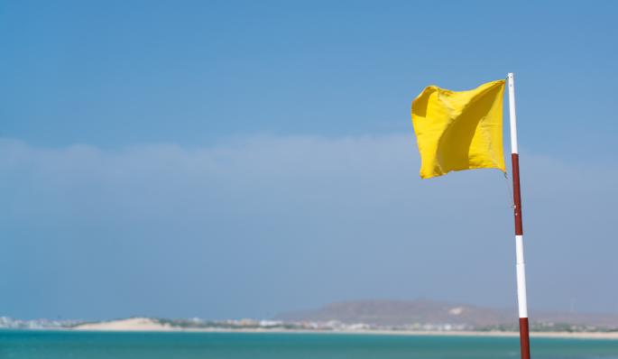 Žuta zastavica