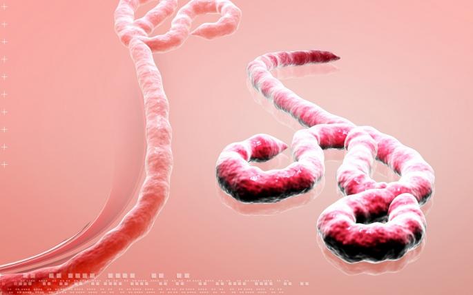 virus ebole