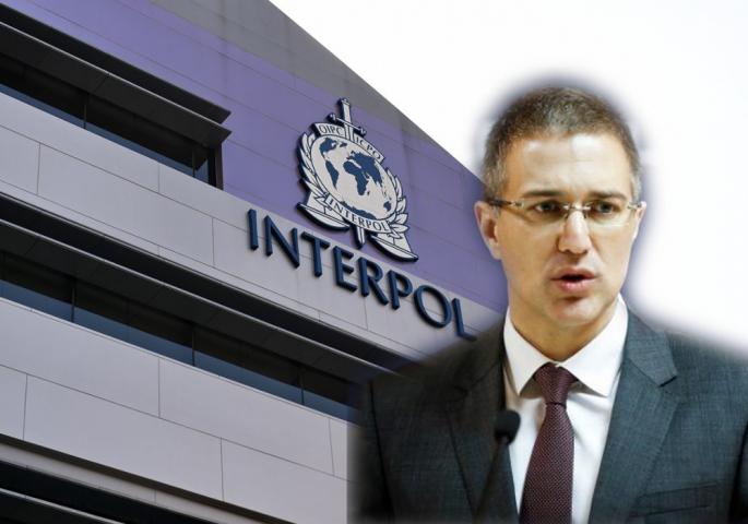 Nebojša Stefanović, Interpol