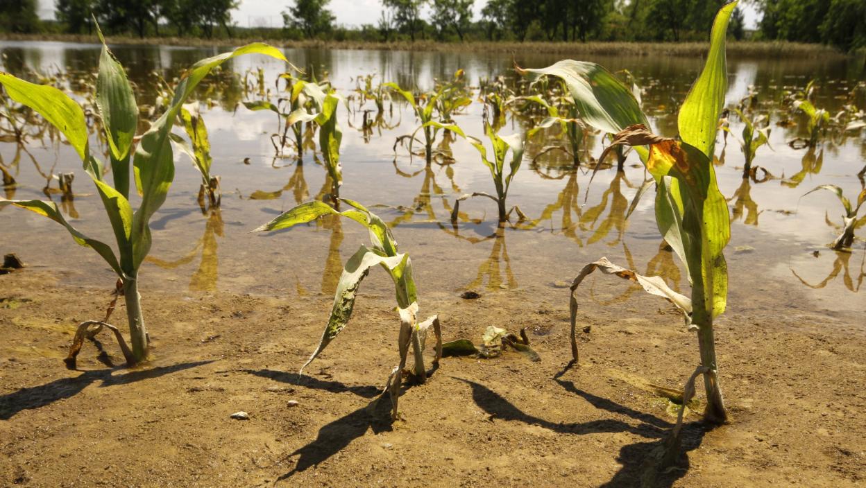 Штета од поплава у општини Пожега 145 милиона динара - Србија данас
