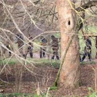 Ubistvo tinejdžera Olija Stefensa