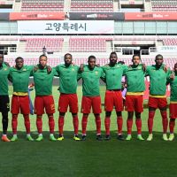 Fudbalska reprezentacija Kameruna