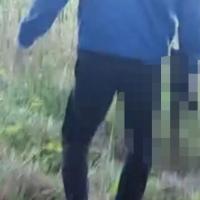 Krvavi zločin na Mitrovdan