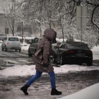 Foto Srbija Danas/S.Džambić, M.Pavković