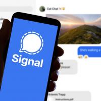 Signal