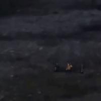 Foto: Telegram Printscreen/РИА Новости