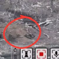 Foto: Telegram Printscreen/hromadske