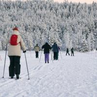 Finska, skijanje