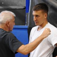 Bogdan Bogdanović, Željko Obradović