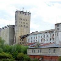 Foto: X Printscreen/@Ce_Malina