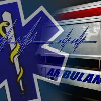 Foto: Srbija Danas/Saša Džambić