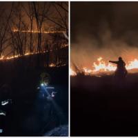 Požar na Fruškoj Gori