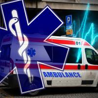 Foto: Srbija Danas/Saša Džambić/Shutterstock