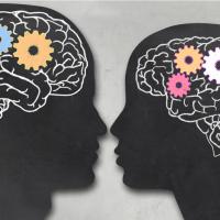 muški i ženski mozak