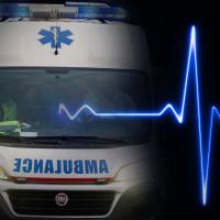 Foto: Srbija Danas/S.Džambić, Shutterstock