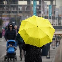 Foto: Srbija Danas, Shutterstock