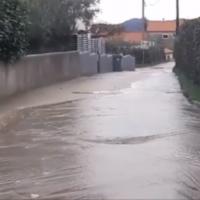 poplava u Zadru