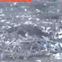 Foto: X/Printscreen/@Pluton45873221