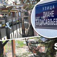 Foto: Srbija Danas/SaÅ¡a DÅ¾ambiÄ