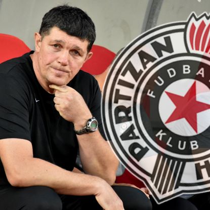 Gordan Petrić, FK Partizan
